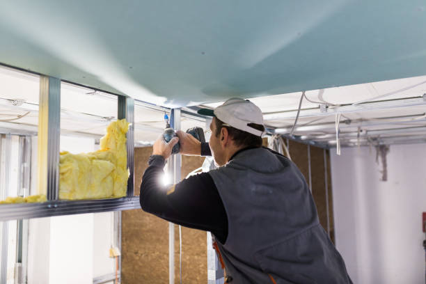 Best Geographic-Specific Insulation Services in Laurel, VA
