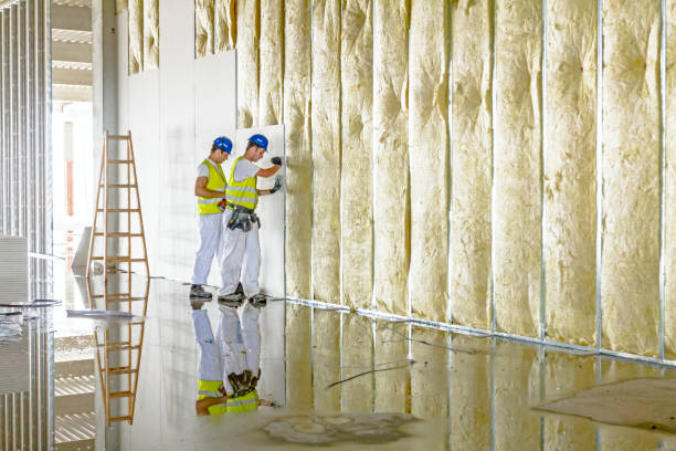 Types of Insulation We Offer in Laurel, VA